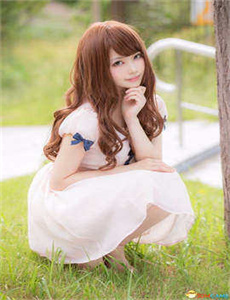 japonensisJAVABD