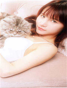 鸥美三级